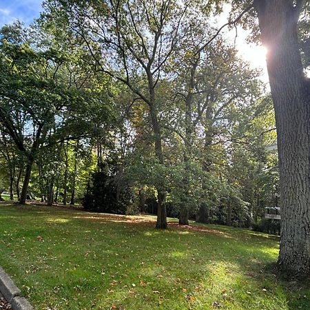 Apartament Ecrin De Verdure Au Chesnay Et Parking Gratuit Le Chesnay  Zewnętrze zdjęcie