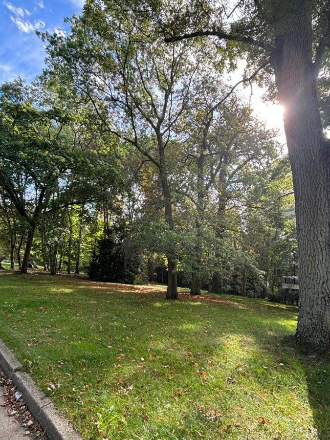 Apartament Ecrin De Verdure Au Chesnay Et Parking Gratuit Le Chesnay  Zewnętrze zdjęcie